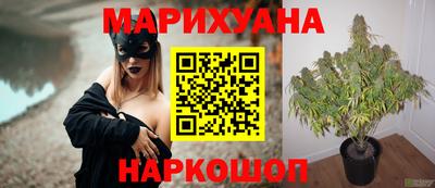 шишки Анжеро-Судженск